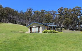 Cherryview Cygnet